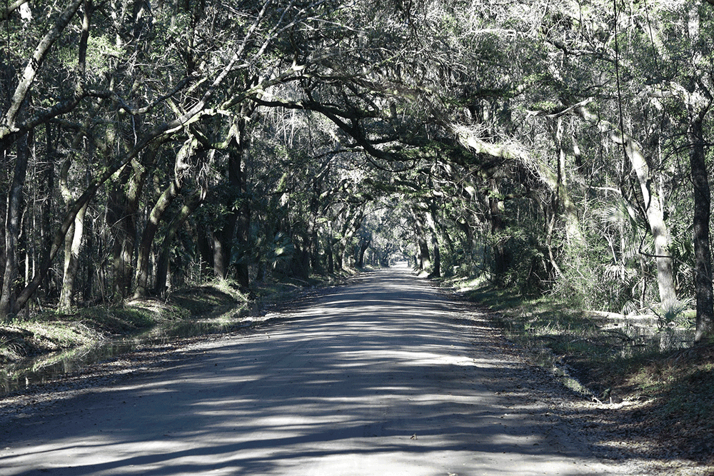 Moving to Sumter, South Carolina? We discovered some of the best family friendly neighborhoods to live in the area.