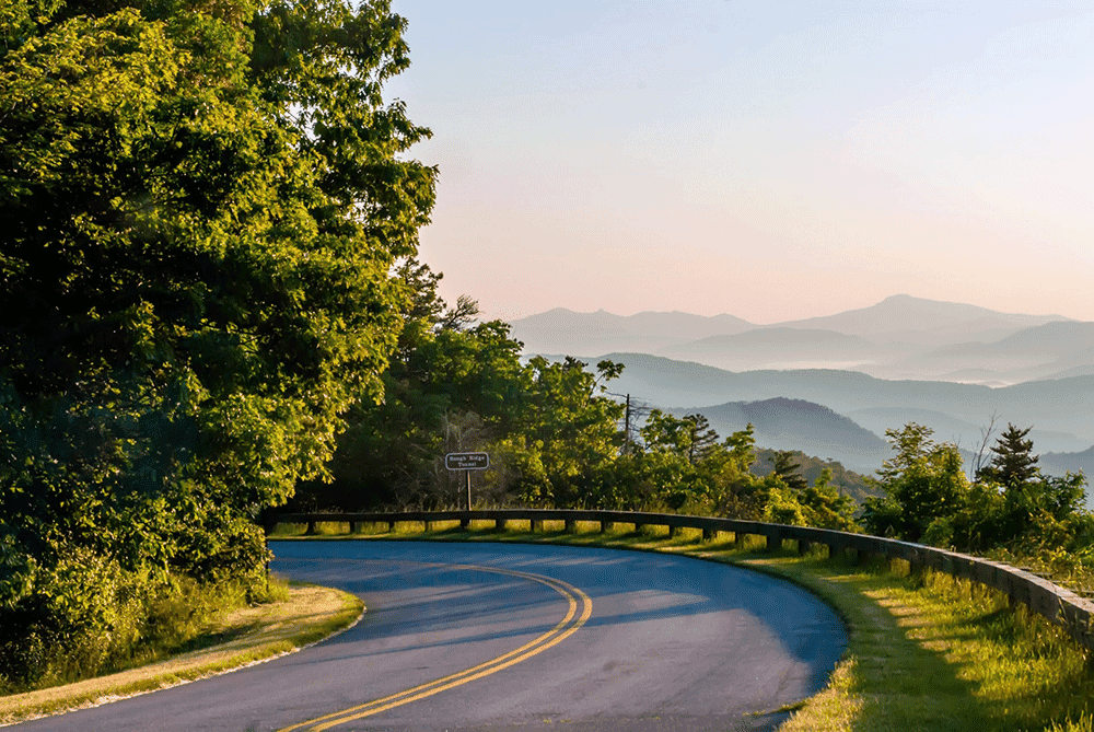 Relocating to Goldsboro, NC? We've done the research! Read up on some of the great neighborhoods in the area perfect for families.