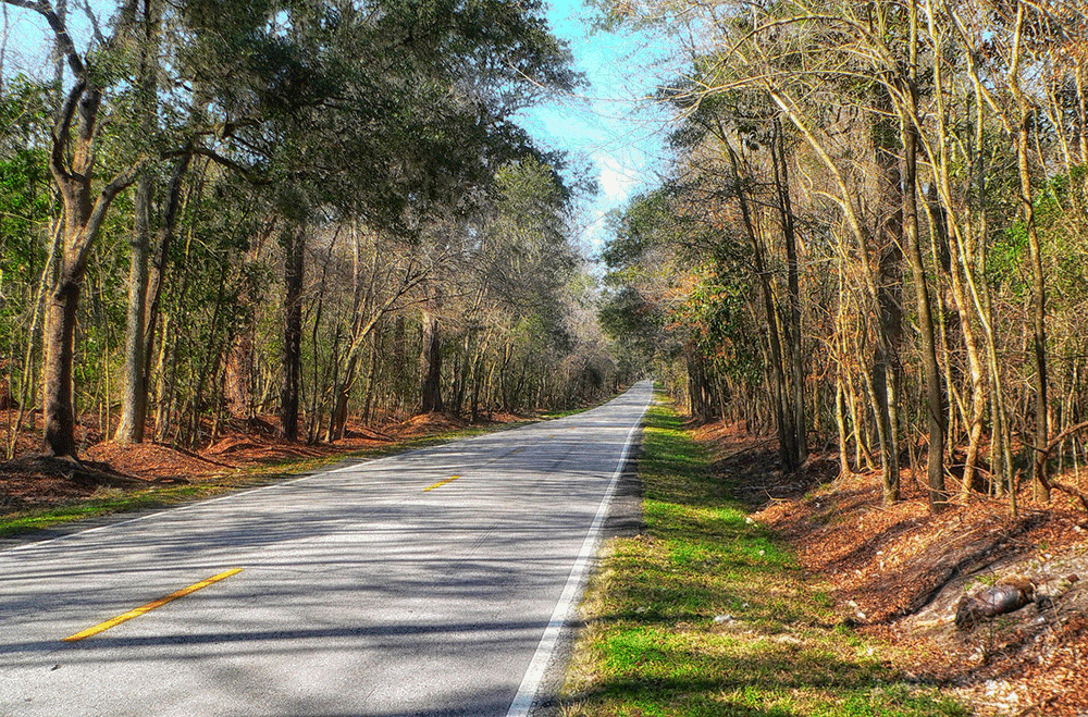 Moving to Easley, South Carolina? We discovered some of the best family friendly neighborhoods to live in the area.