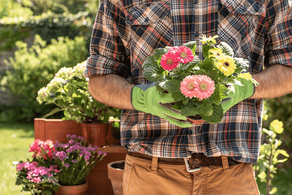 Seasonal gardening equipment takes up a lot of space in your garage. We have 5 tips on how to protect your gardening equipment during the winter months.