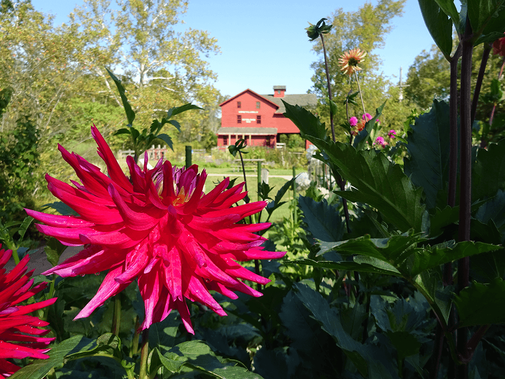 Elkhart is a small city located 110 miles east of Chicago and 150 miles north of Indianapolis. Learn more about this quaint city before moving there.