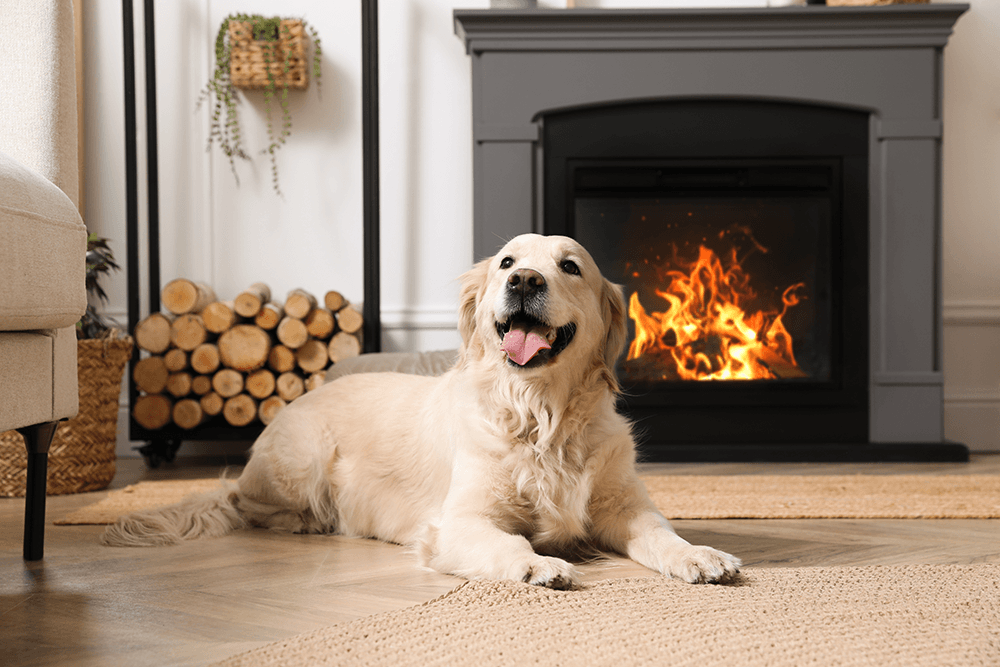 Transform your small living space into a cozy haven for your furry friend with innovative dog room ideas, maximizing functionality and style while providing your pet with a comfortable retreat.