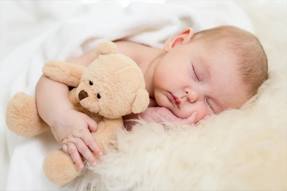 Storing stuffed animals long term 2025