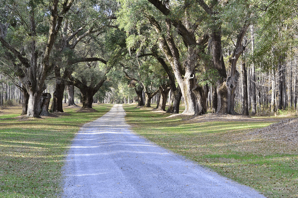Moving to Irmo, South Carolina? We discovered some of the best family friendly neighborhoods to live in the area.
