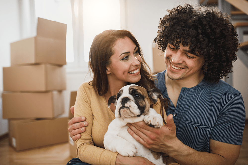 Moving across the country is a big undertaking with dogs. Get the tips to make your move easier on you and your pet.